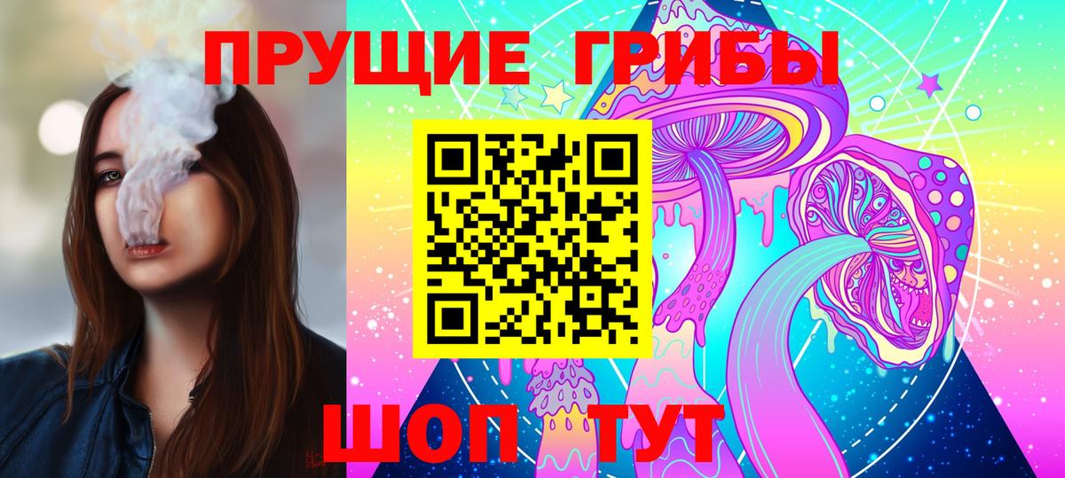 Галлюциногенные грибы Psilocybe Екатеринбург