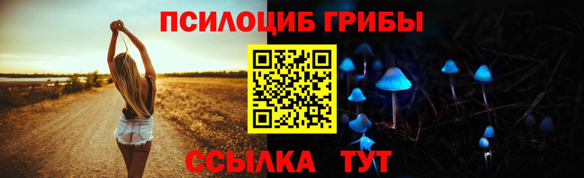 Екатеринбург  Галлюциногенные грибы GOLDEN TEACHER  Вход с VPN 